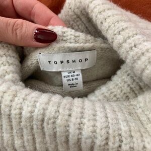 Topshop Turtleneck
